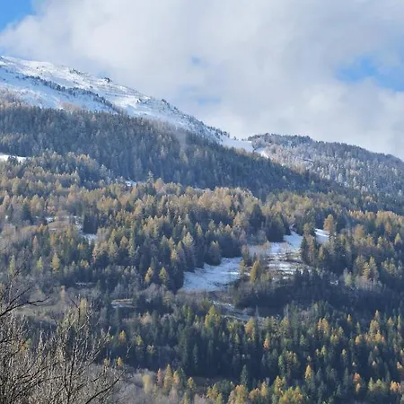 Appartement Chalet Altus Duplex